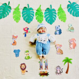BABY MONTH BIRTHDAY DECORATION